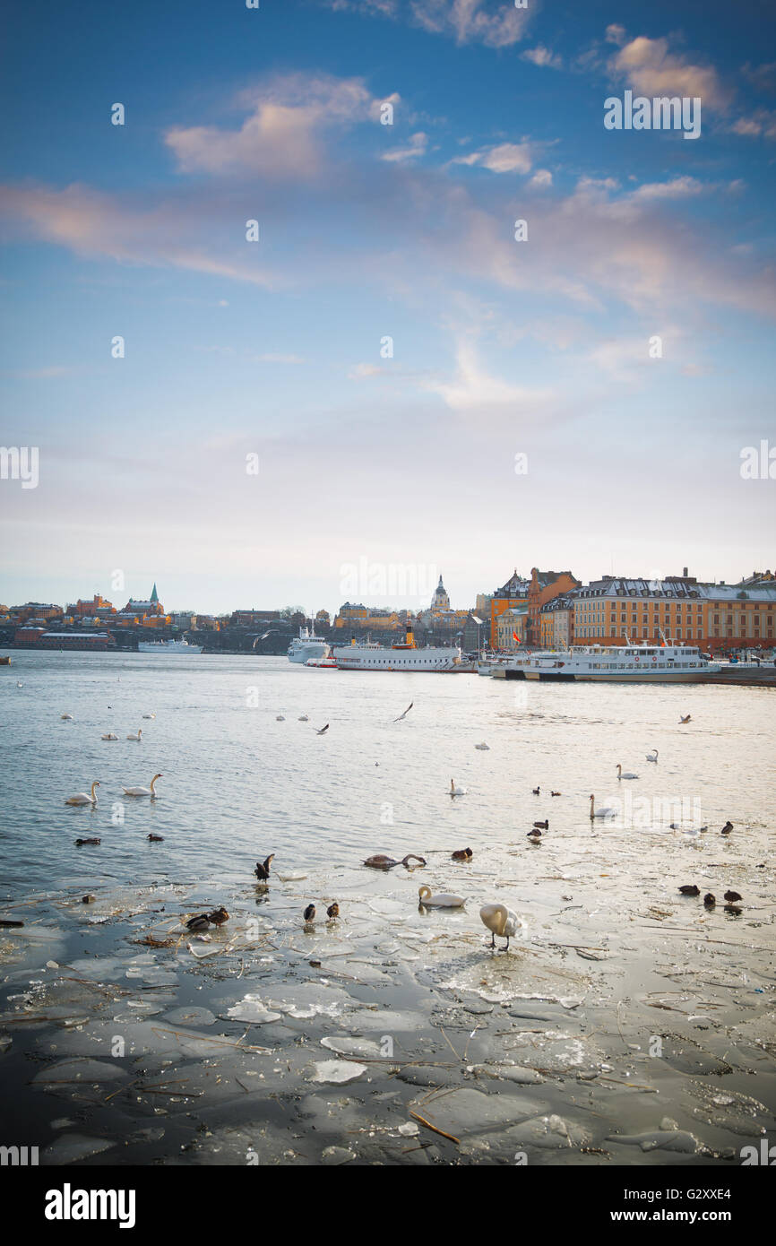 Una vista di Stoccolma, la Gamla stan regione da attraverso il fiume congelato nel periodo invernale. Foto Stock