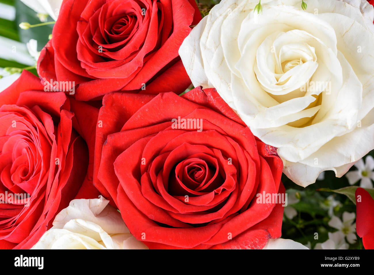 Il bianco e il rosso Rose Wedding bouquet di fiori Foto Stock