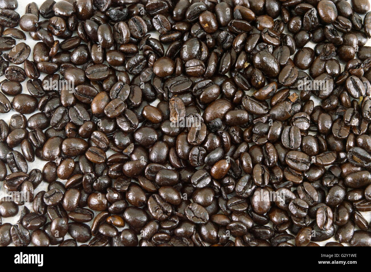 Mazzetto di chicchi di caffè tostati sfondo di formatura Foto Stock