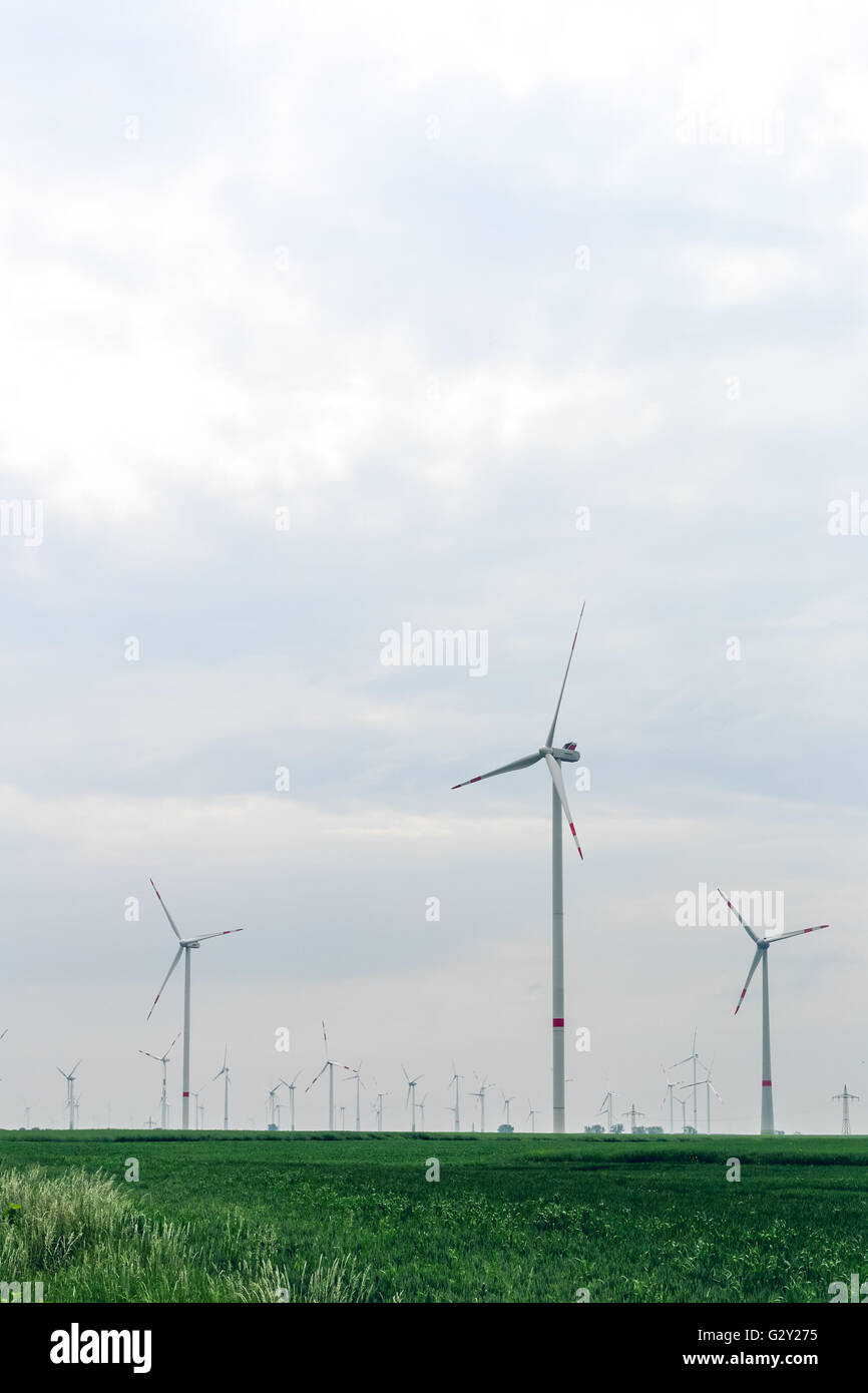 Gruppo di mulini a vento per le fonti di produzione di energia elettrica Foto Stock