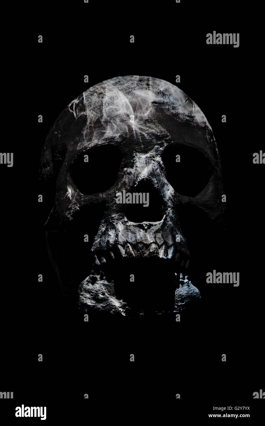 Cranio umano Foto Stock