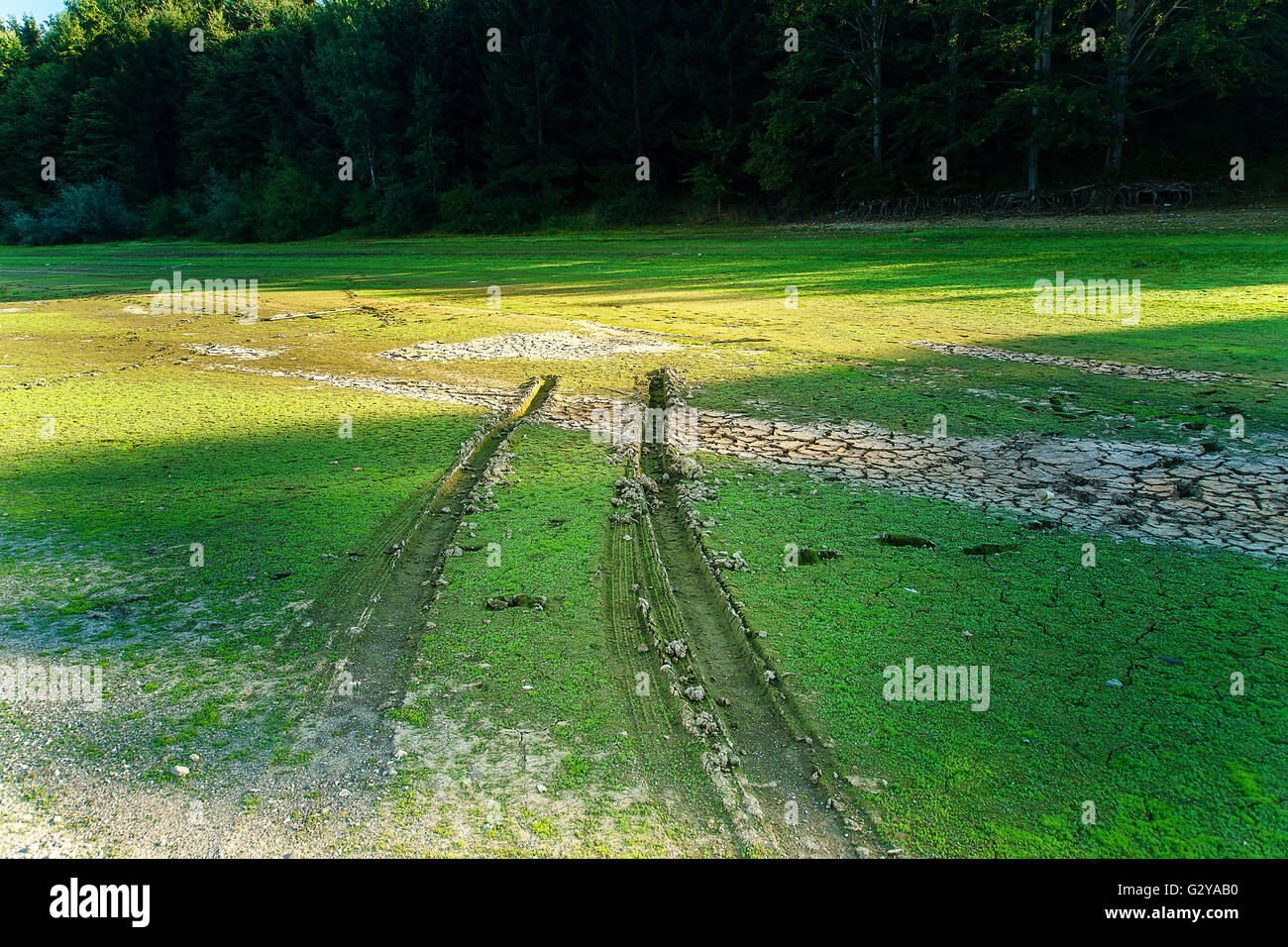 Le tracce delle ruote della vettura sulla riva del lago. Foto Stock