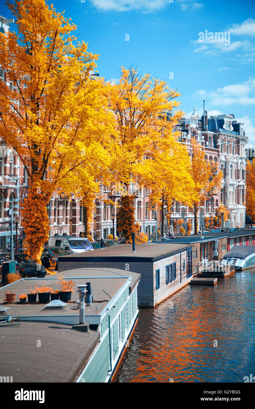 Bellissima capitale europea di Amsterdam in estate. antiche strade e canali.Gold autunno Foto Stock