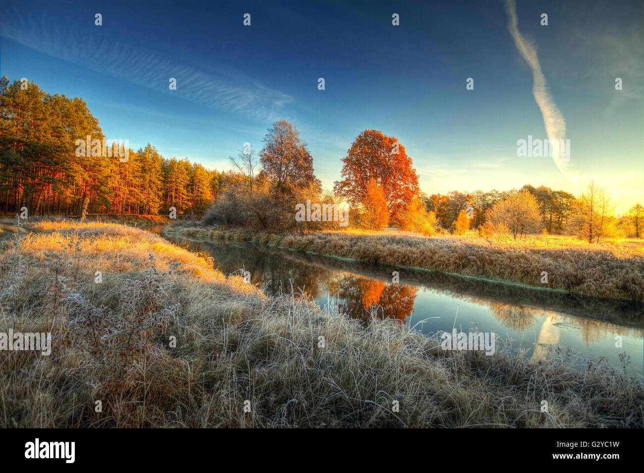 Alba sul fiume .osen. La brina su alberi ed erba Foto Stock