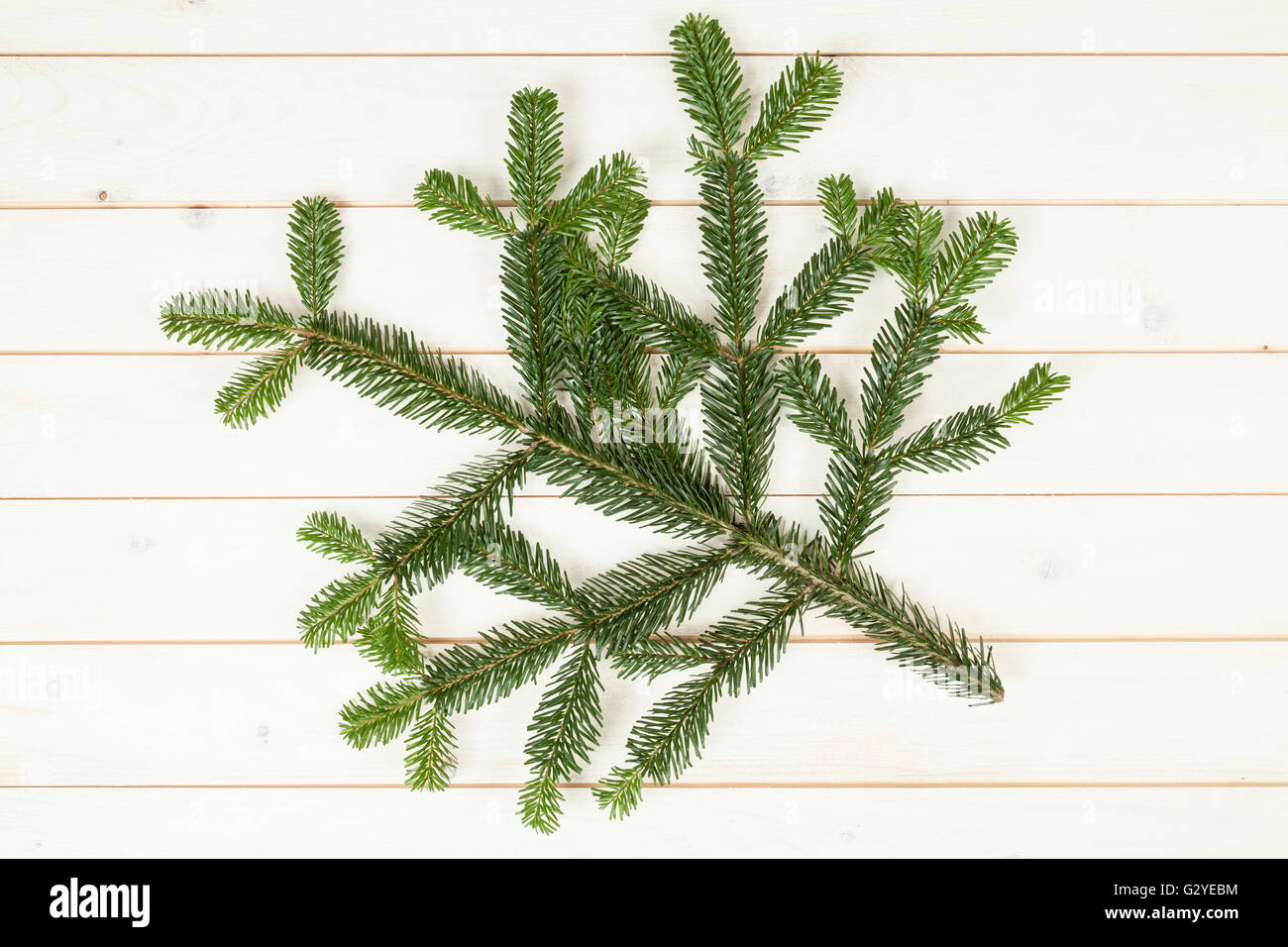 Ramo di abete sulla tavola di legno Foto Stock