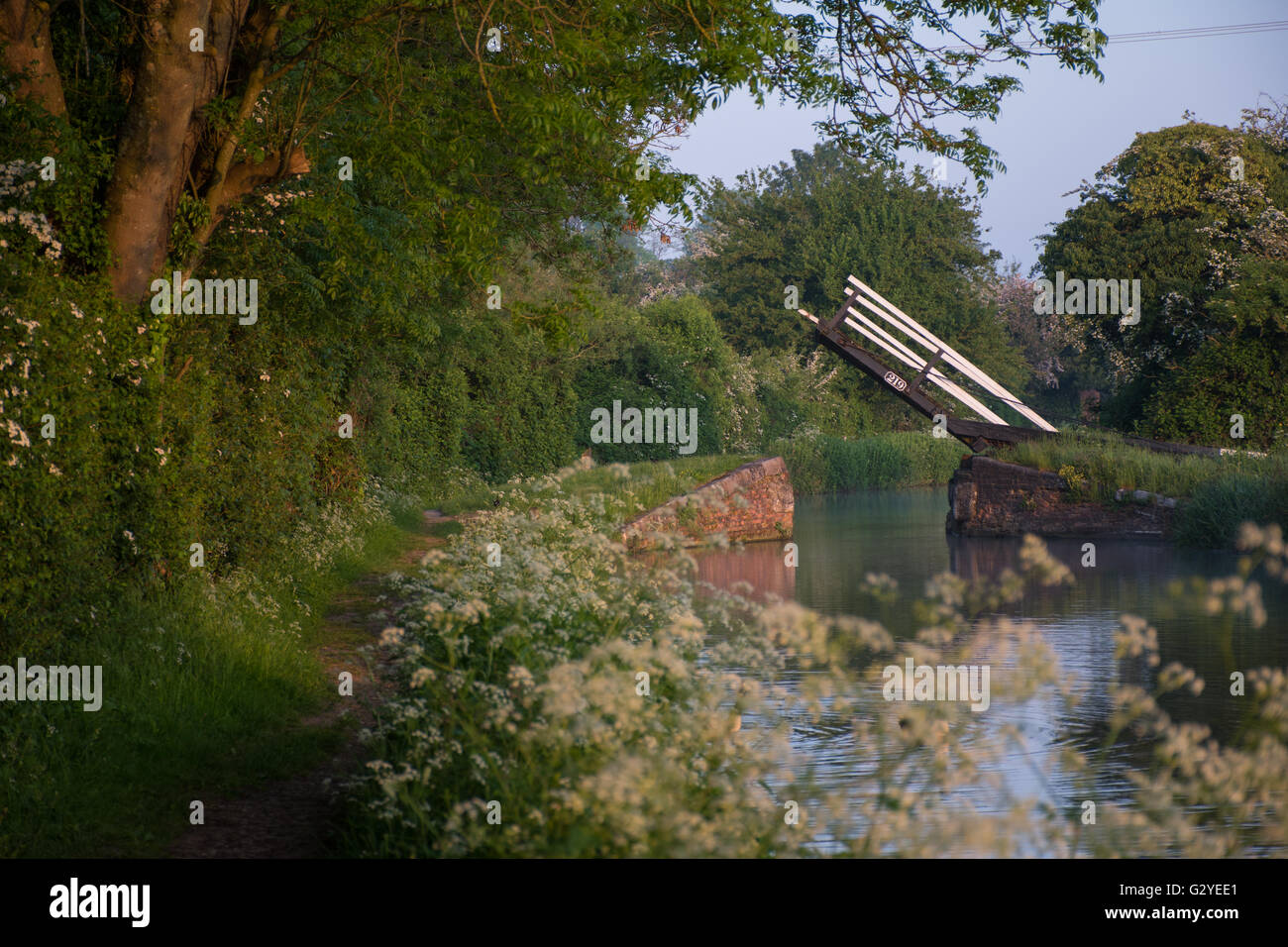 Alba lungo la Oxford canal vicino a Shipton sul Cherwell Foto Stock