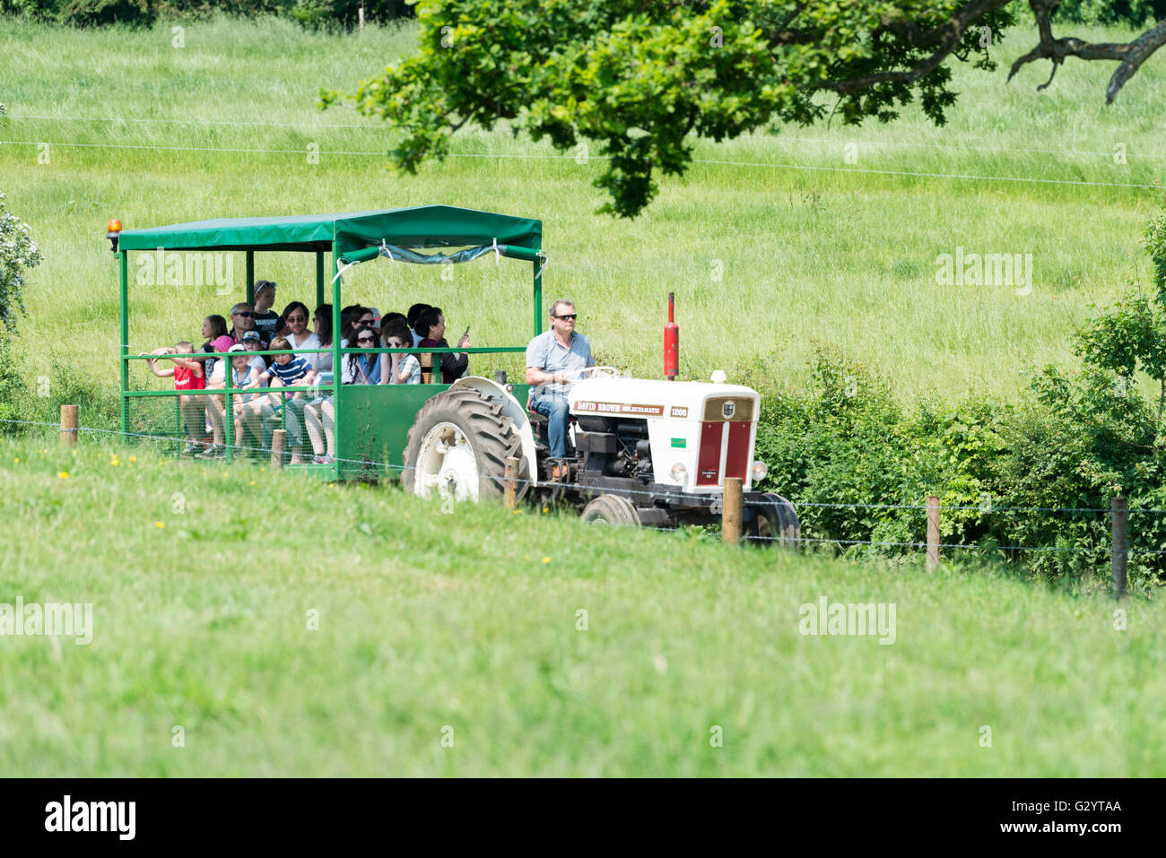 Fattoria Pierrepont Frensham Surrey UK 5 Giugno 2016. Gli ospiti godono di una motrice e di un rimorchio ride su Open Farm Domenica. La fattoria è di proprietà di campagna restauro fiducia, uno dei principali enti di beneficenza promozione di fauna selvatica di allevamento amichevole. Centinaia di persone si è rivelata in una gloriosa pomeriggio soleggiato per vedere e saperne di più su agricoltura di prima mano. Credito Eales Julian/Alamy Live News Foto Stock