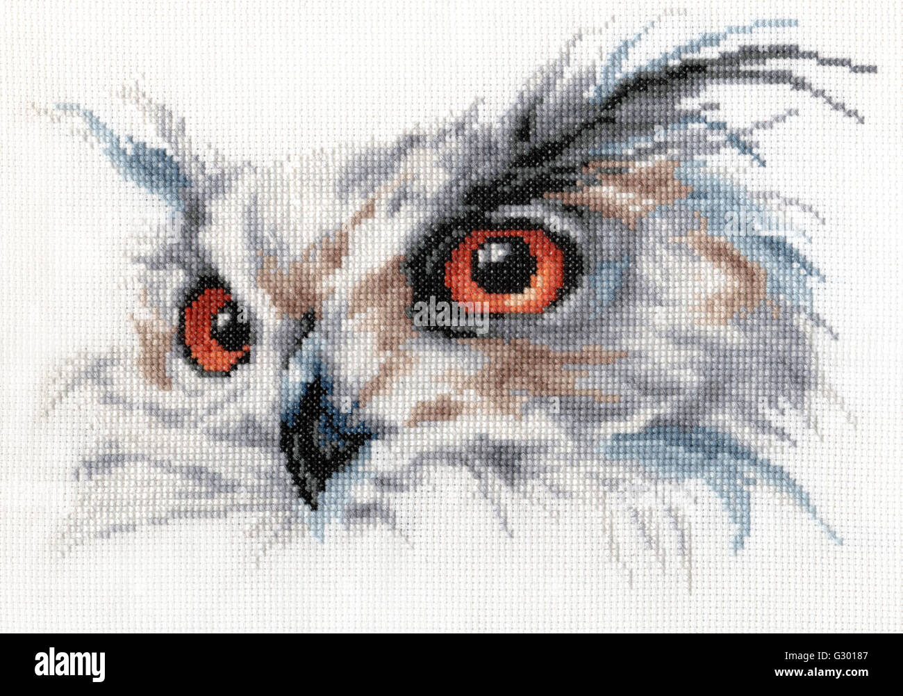 Il Gufo Sapiente con occhi dorati Foto Stock