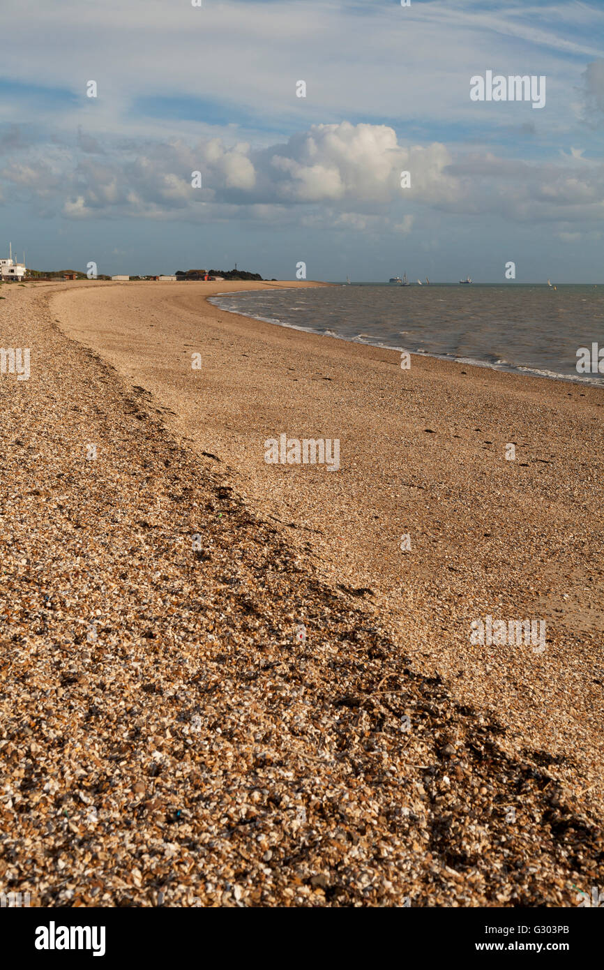 La scansione di Stokes Bay spiaggia ghiaiosa a Alverstoke, Gosport, England, Regno Unito, Europa Foto Stock