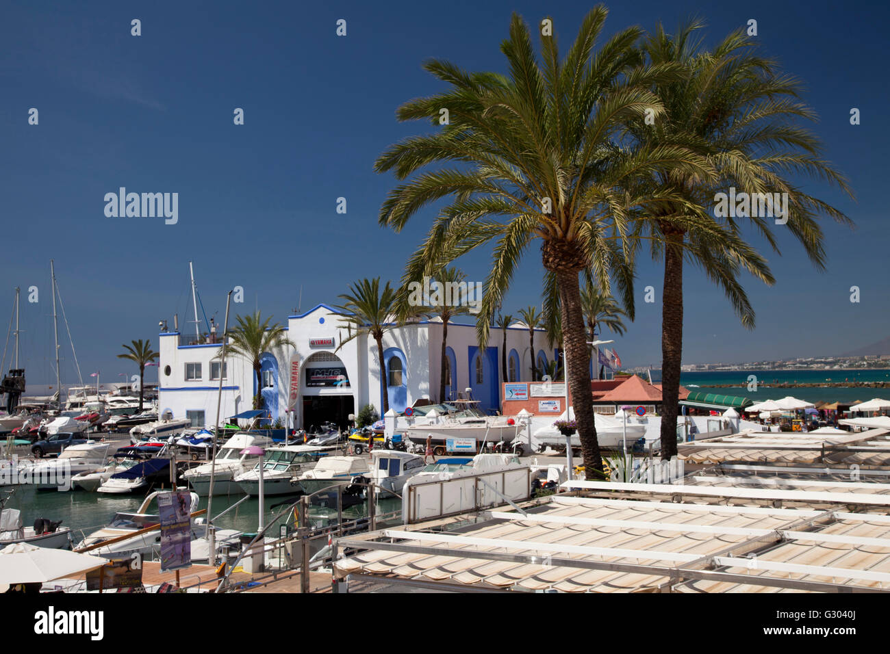 Palme alla marina, Marbella, Costa del Sol, Andalusia, Spagna, Europa, PublicGround Foto Stock