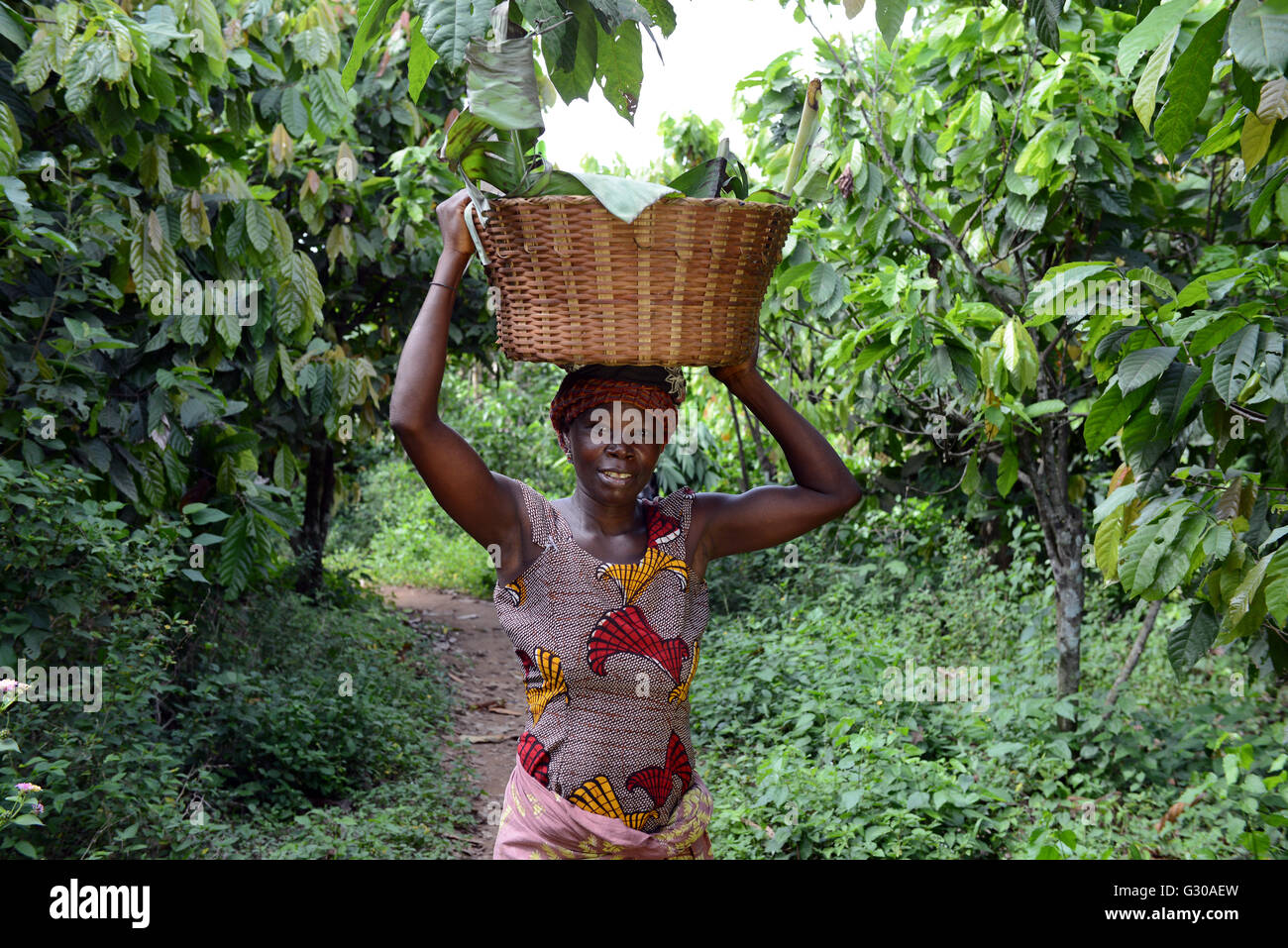 Lavtey Amds, un agricoltore di cacao, felice a causa di VSO presente in Ghana, Africa occidentale, Africa Foto Stock