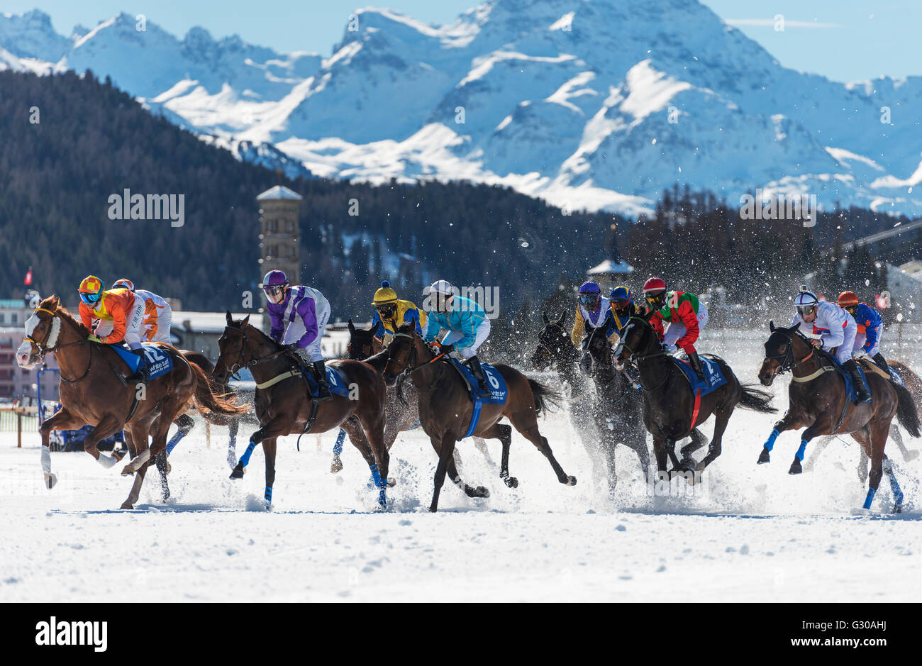 White Turf Concorso Ippico Internazionale, inverno, San Moritz, Engadina, Grigioni, Svizzera, Europa Foto Stock