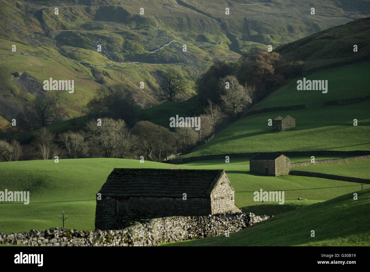 Vecchi fienili, sopra Muker, Swaledale, Yorkshire Dales National Park, il Yorkshire, Inghilterra, Regno Unito, Europa Foto Stock