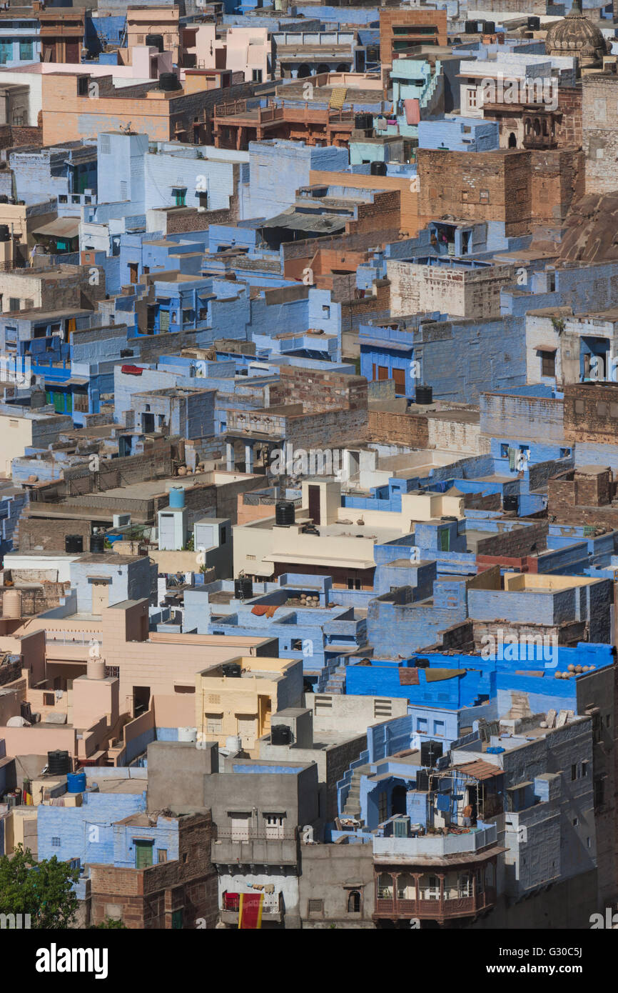Il tradizionale blu-lavato case di Jodhpur, Rajasthan, India, Asia Foto Stock