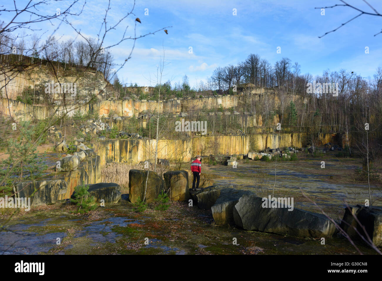 Ex cava Wehlen pareti di pietra arenaria, Germania, Sassonia, Sassonia , Stadt Wehlen Foto Stock