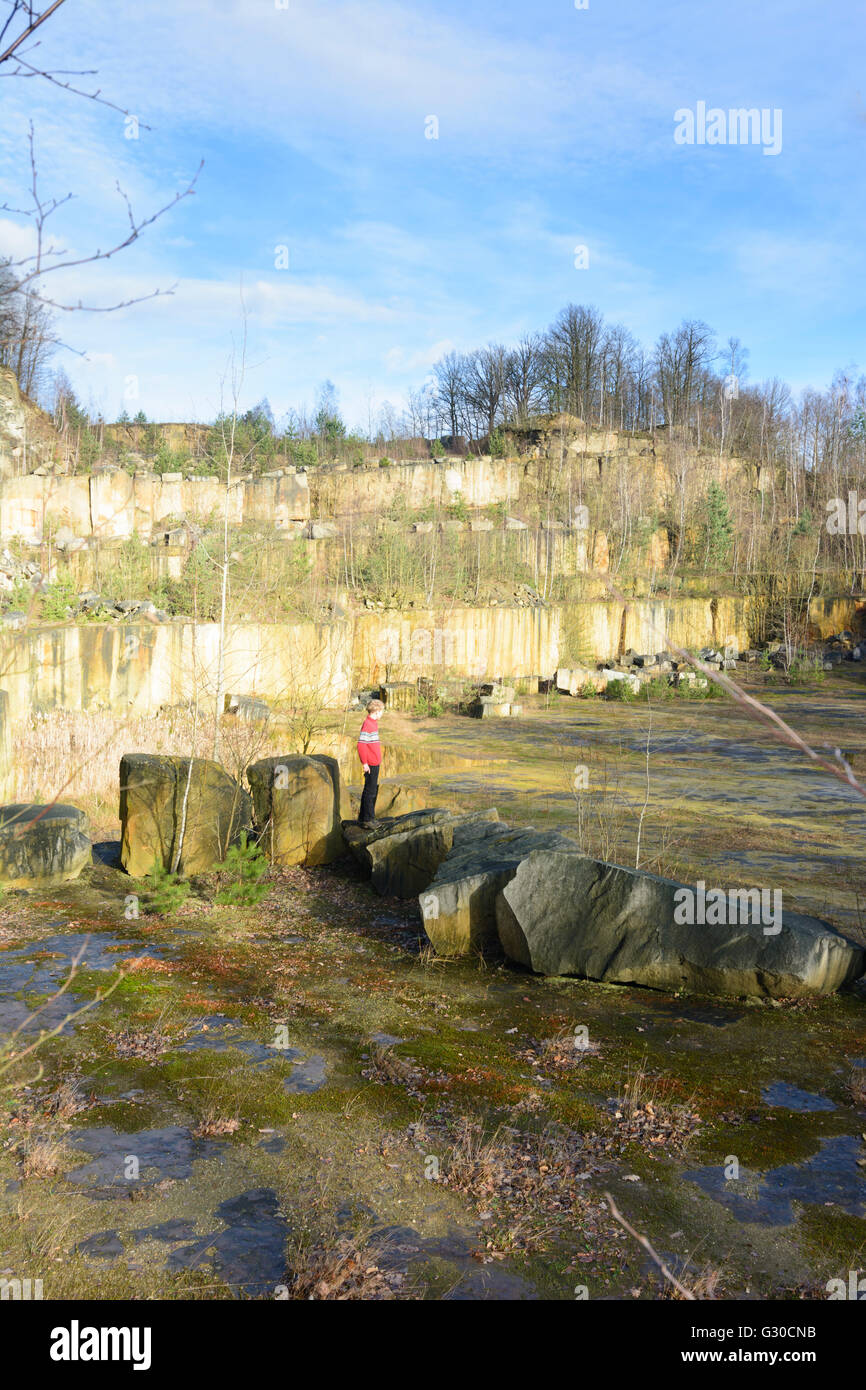 Ex cava Wehlen pareti di pietra arenaria, Germania, Sassonia, Sassonia , Stadt Wehlen Foto Stock