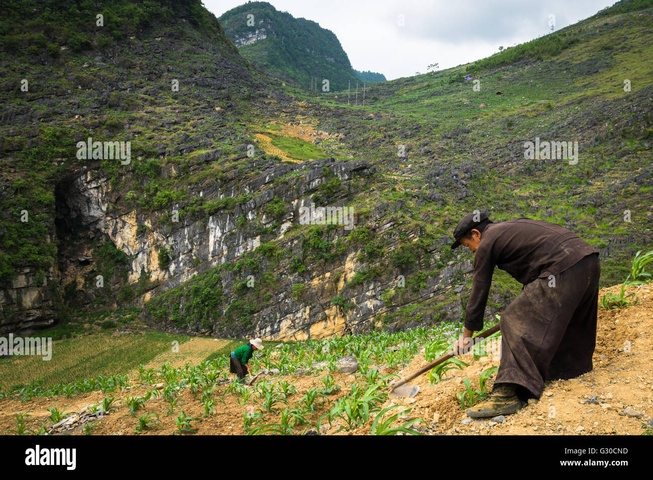 L uomo e la donna a coltivare una patch di mais nelle montagne di Ha Giang Provincia, Vietnam. Foto Stock