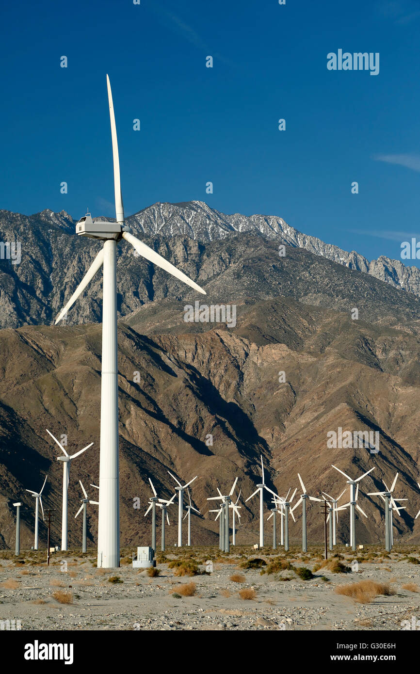Mulini a vento e San Jacinto Mountains (Monte San Jacinto, 10,831 ft.), San Gorgonio Pass Wind Farm, vicino a Palm Springs, California Foto Stock