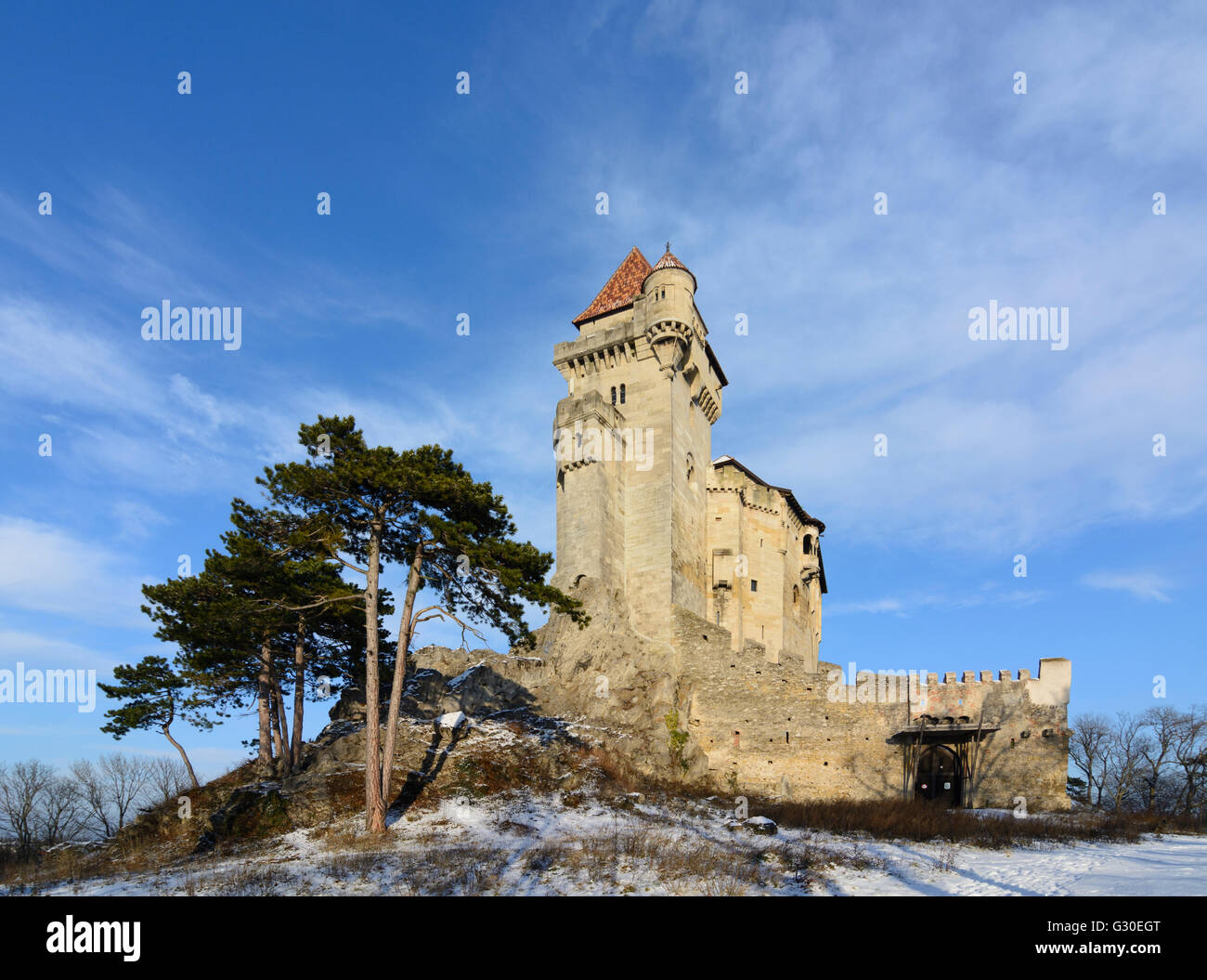 Il castello di Liechtenstein, Austria, Niederösterreich, Bassa Austria Wienerwald, Maria Enzersdorf Foto Stock