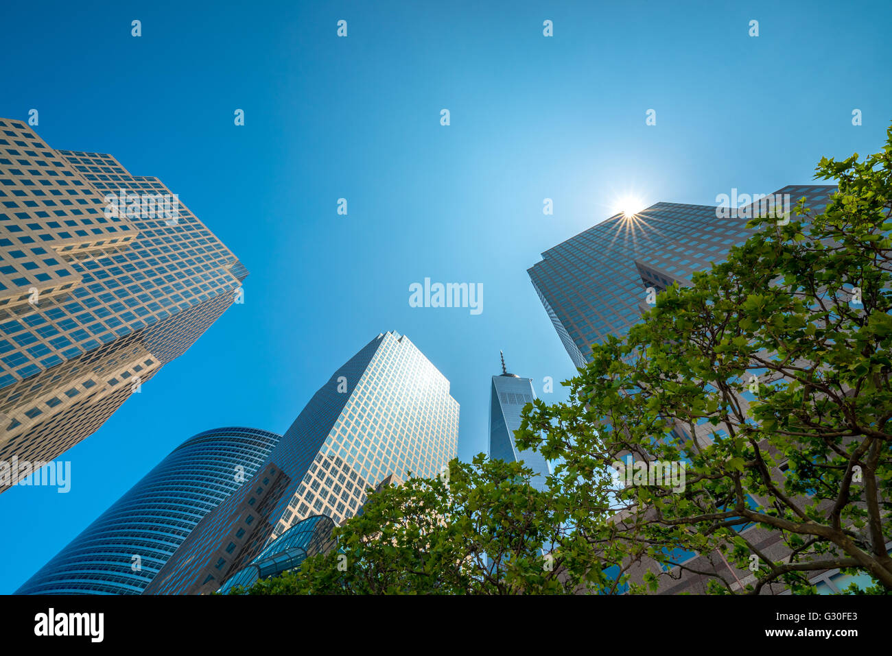 Guardando il grattacieli di New York City con un sun star Foto Stock