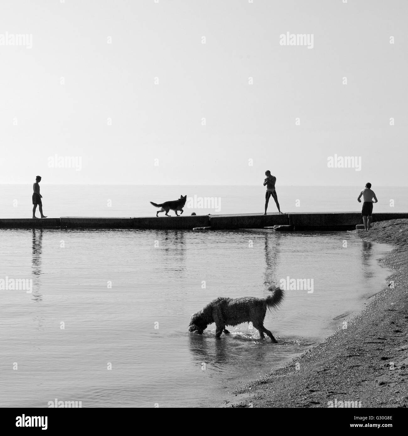 Il lago Michigan shore a Milwaukee nel Wisconsin offre molti posti per i cani e gli esseri umani a giocare. Foto Stock