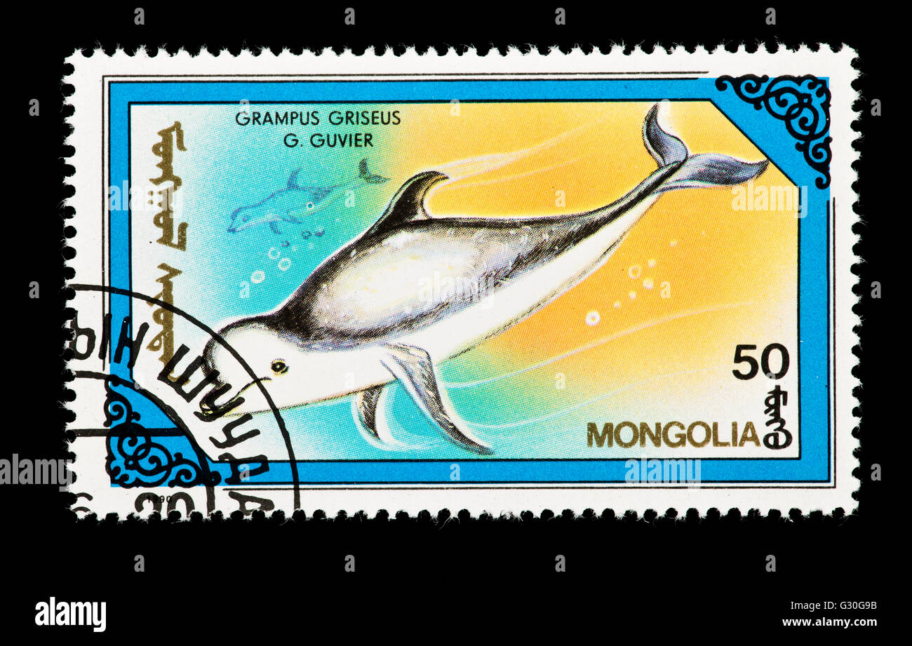 Francobollo dalla Mongolia raffigurante un Risso (Dolphin Grampus griseus) Foto Stock