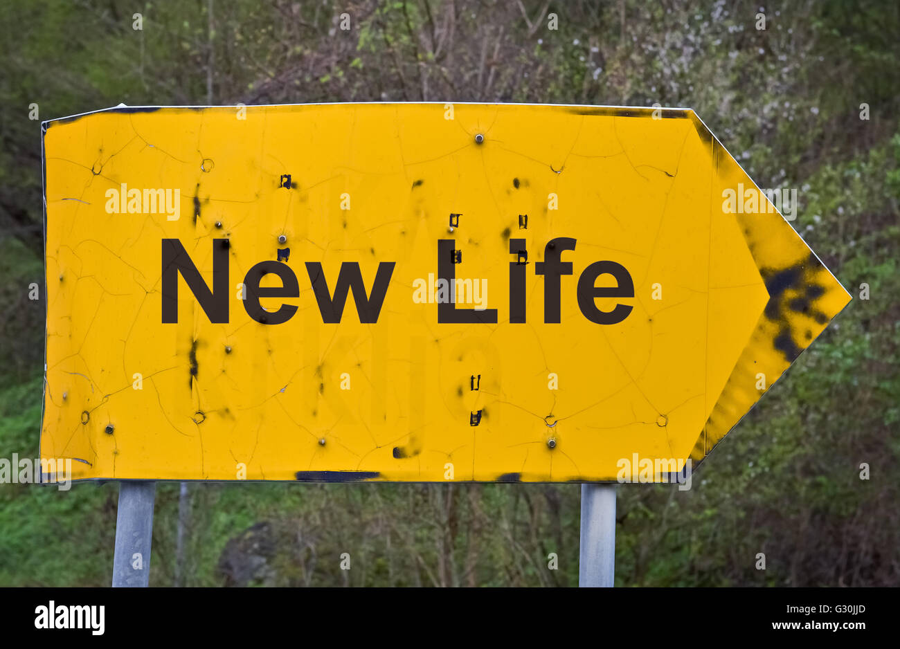 Testo nuova Vita scritta su un giallo cartello stradale Foto Stock