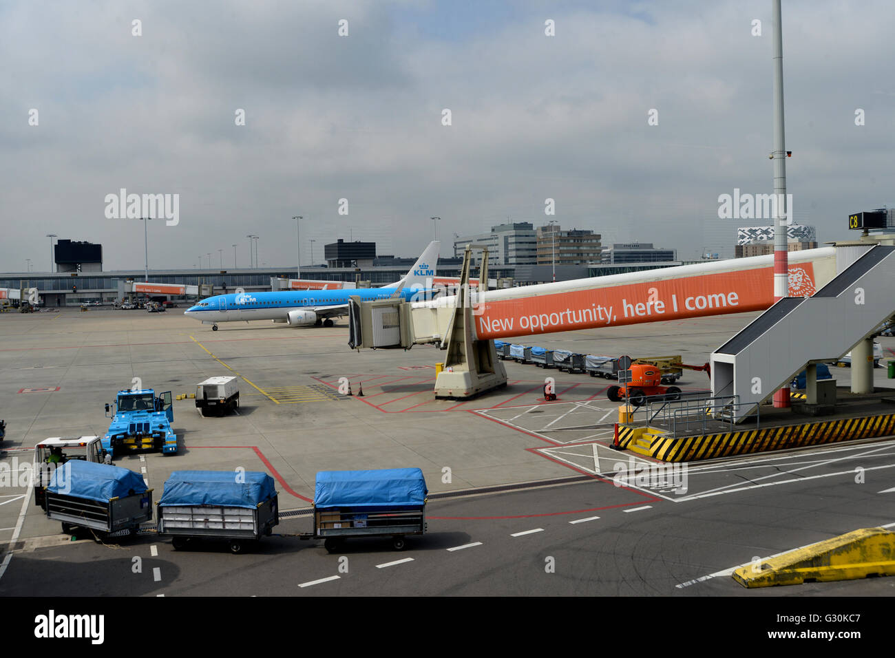 L'aeroporto internazionale di Schiphol Amsterdam Paesi Bassi Foto Stock
