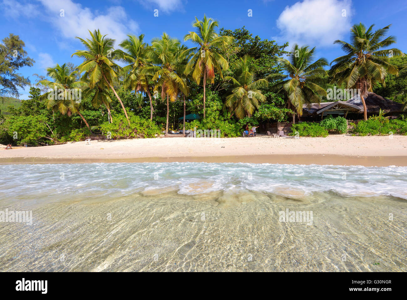 Le palme sulla spiaggia di Isola di Praslin, Seicelle Foto Stock