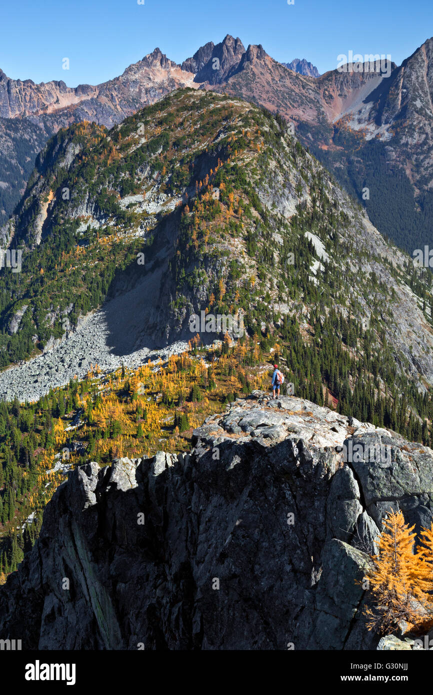WASHINGTON - escursionista esplorare off-trail da acero passare affacciato su larici in autunno colori nel North Cascades. Foto Stock