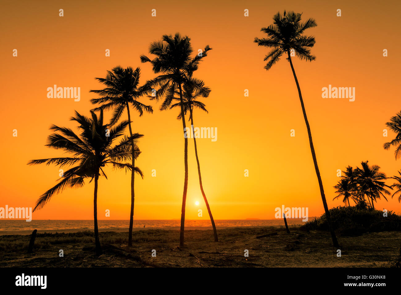 Bellissimo tramonto tropicale con palme in spiaggia Foto Stock