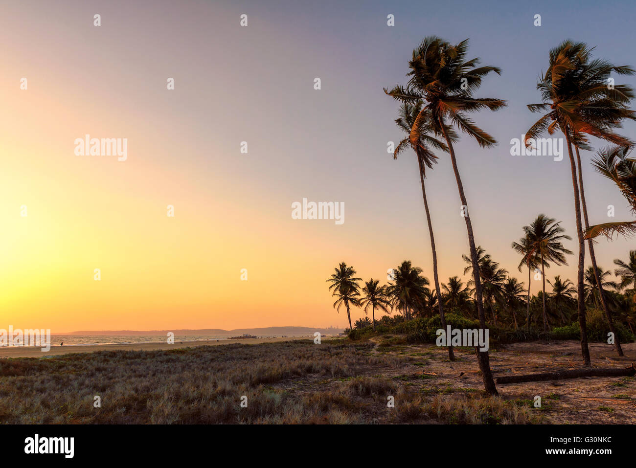 Palme silhouette tramonto sulla spiaggia tropicale Foto Stock