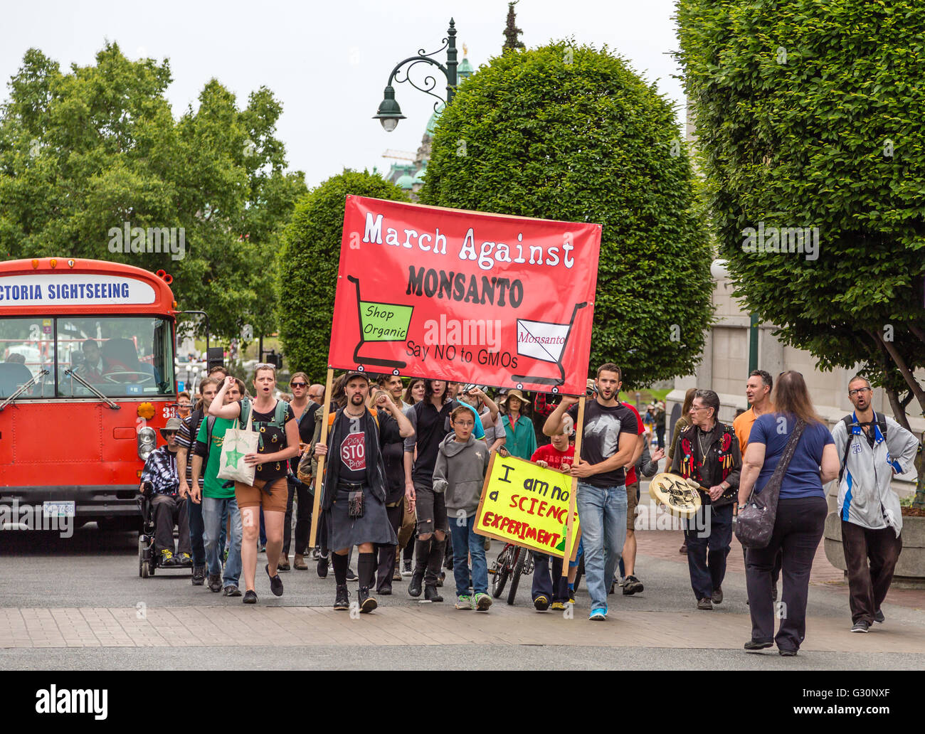 La protesta contro la Monsanto e gli OGM nelle strade di Victoria, British Columbia, Canad Foto Stock