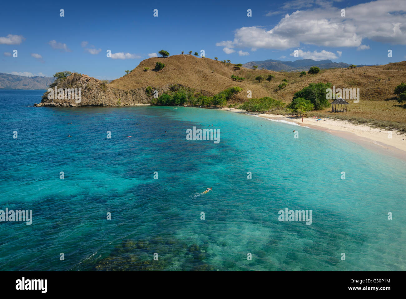 Spiaggia Rosa sull'isola di Komodo in Indonesia Foto Stock
