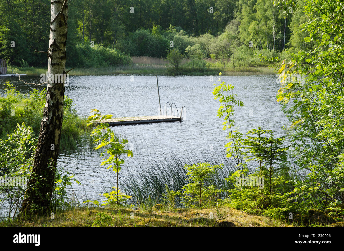 Vista in un bagno in legno pier da un lago in una verde e soleggiata paesaggio Foto Stock