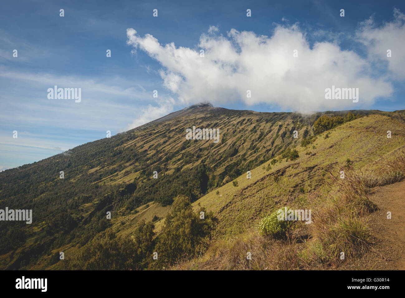 La Mt Rinjani dal di sotto Foto Stock
