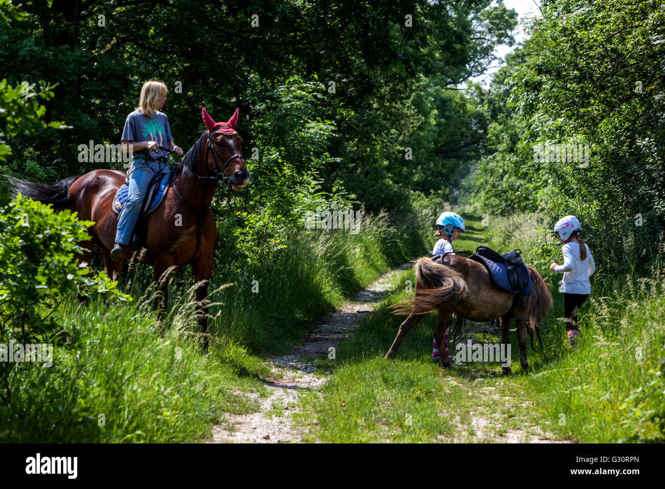 Donna equitazione giovani ragazze con un cavallo su un pony da trekking su strada, accompagnatore adulto Foto Stock
