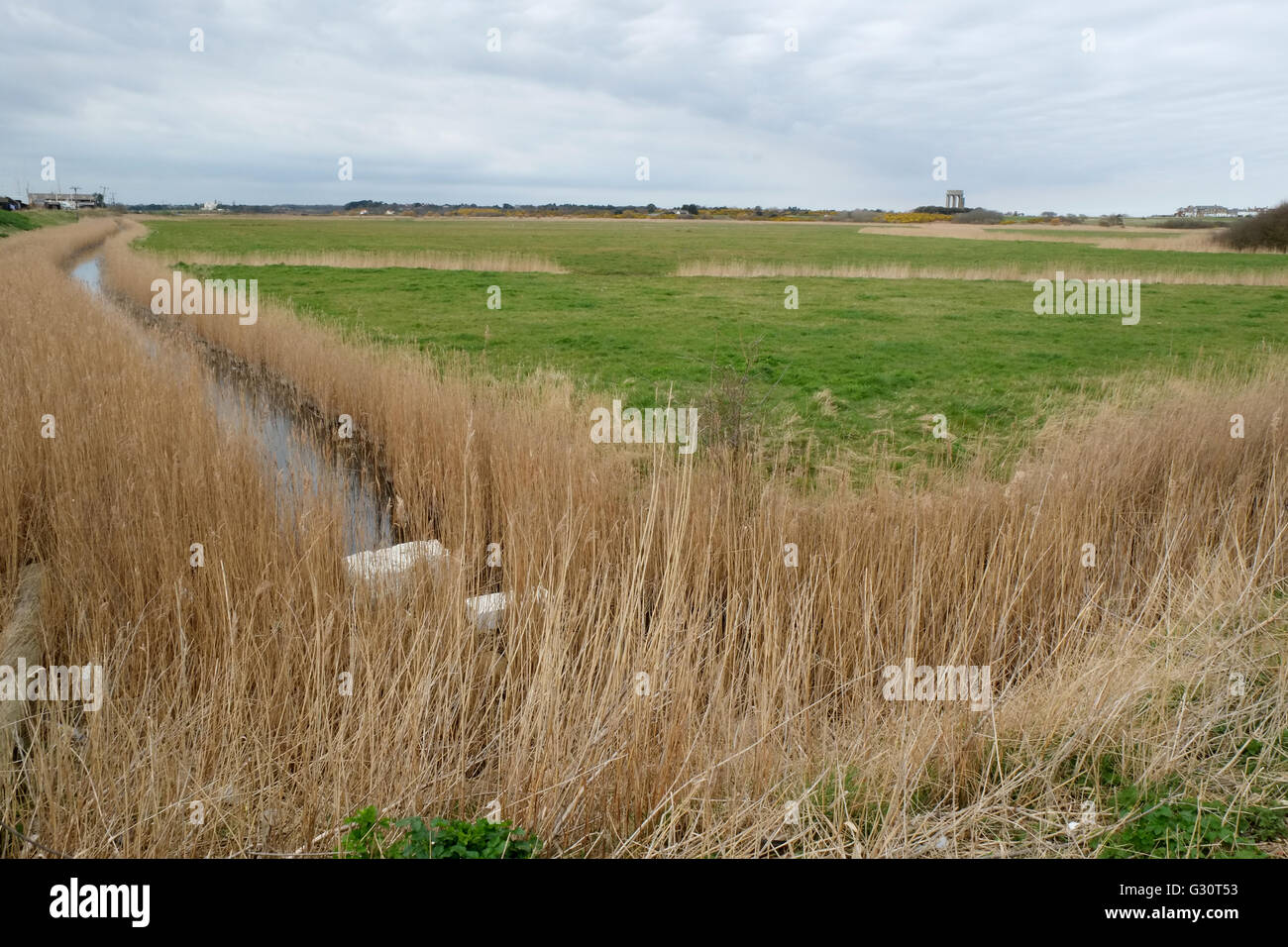 Vista dal turista Southwold preferiti porto attraverso il pascolo dei prati verso Southwold città dell est Suffolk, Inghilterra Foto Stock