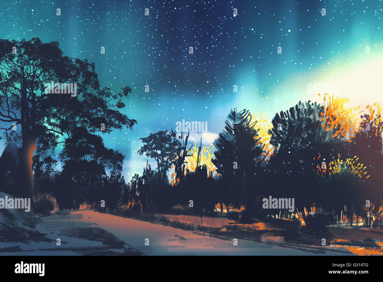Campo di stelle sopra gli alberi nella foresta,paesaggio notturno, illustrazione Foto Stock