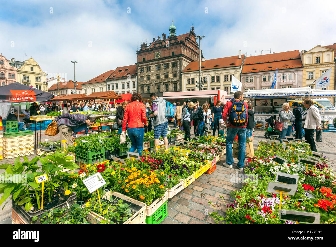 Plzen Farmers Market sulla piazza della città di fronte Municipio Pilsen Repubblica Ceca Europa Foto Stock