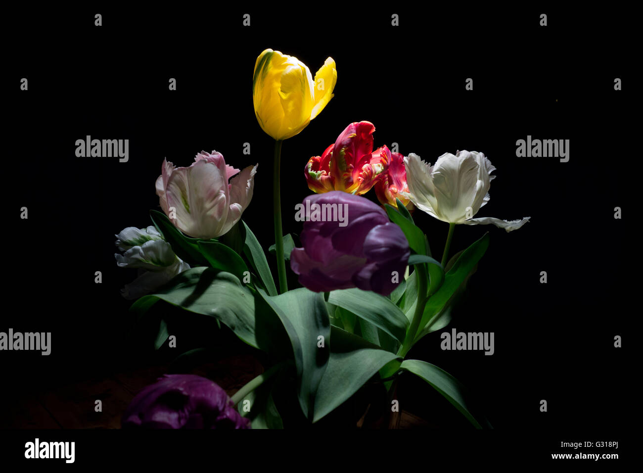 Bouquet di tulipani Foto Stock