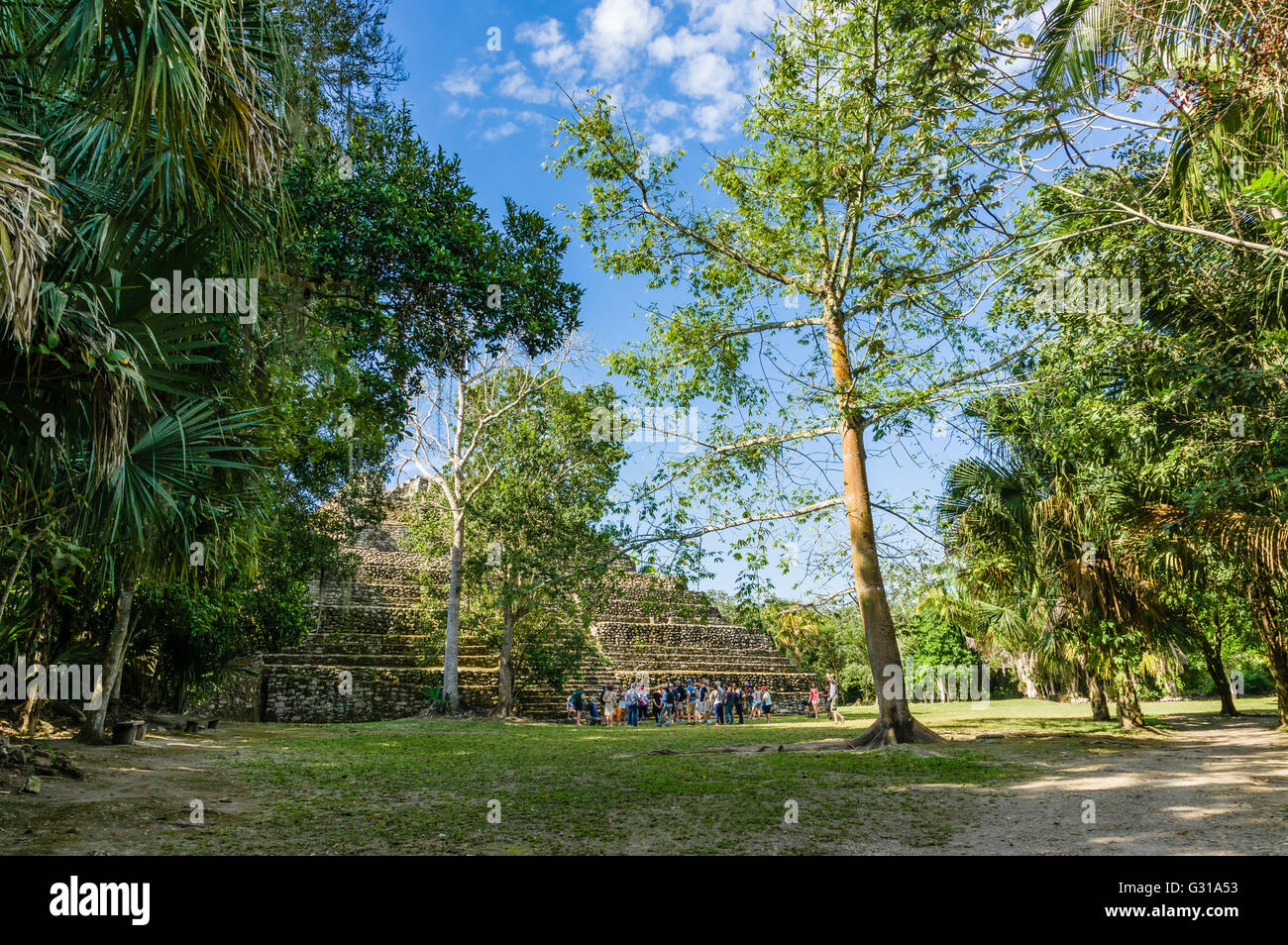 Tour guida per spiegare l'uso di teh ebano al Chacchoben rovine. Chacchoben, Messico Foto Stock