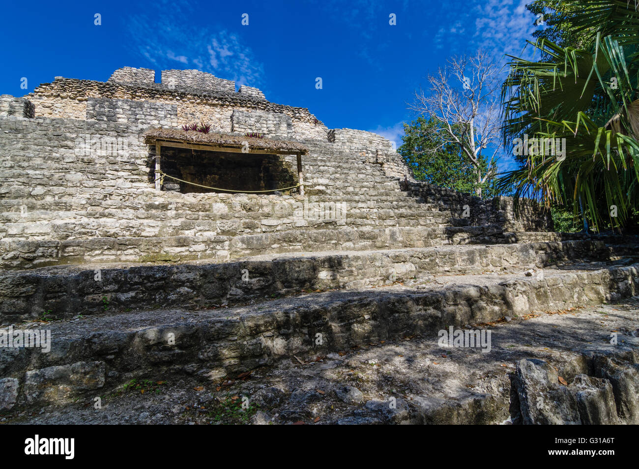 La struttura radiale, parte del gruppo 1-B del Chacchoben rovine. Chacchoben, Messico Foto Stock
