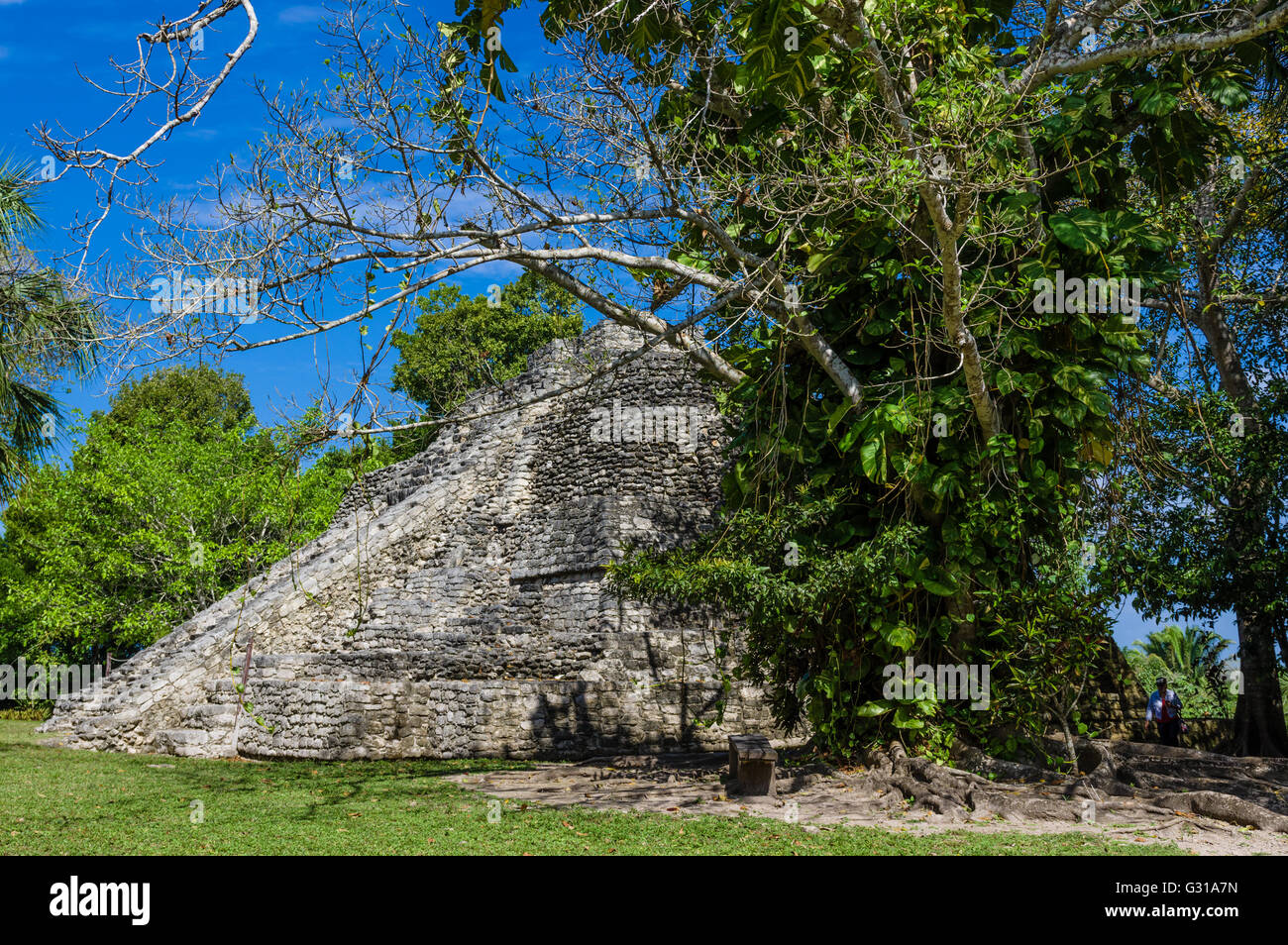 Tempio II del gruppo 1-Una delle rovine Chacchoben. Chacchoben, Messico Foto Stock