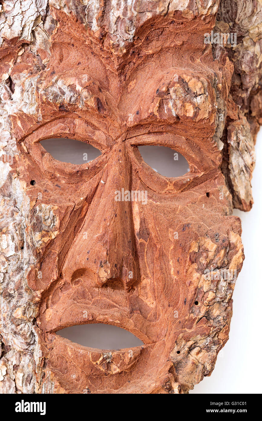 In legno di corteccia di pino di scolpire il volto dell'uomo Foto Stock