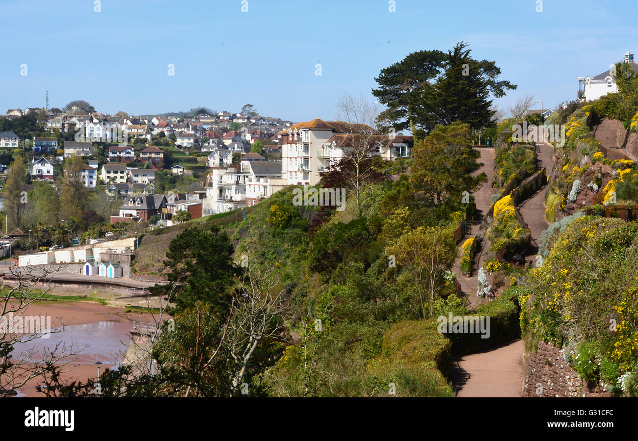 Testa di Roundham Zig-Zag sentieri verso il basso per Goodrington, Devon Foto Stock