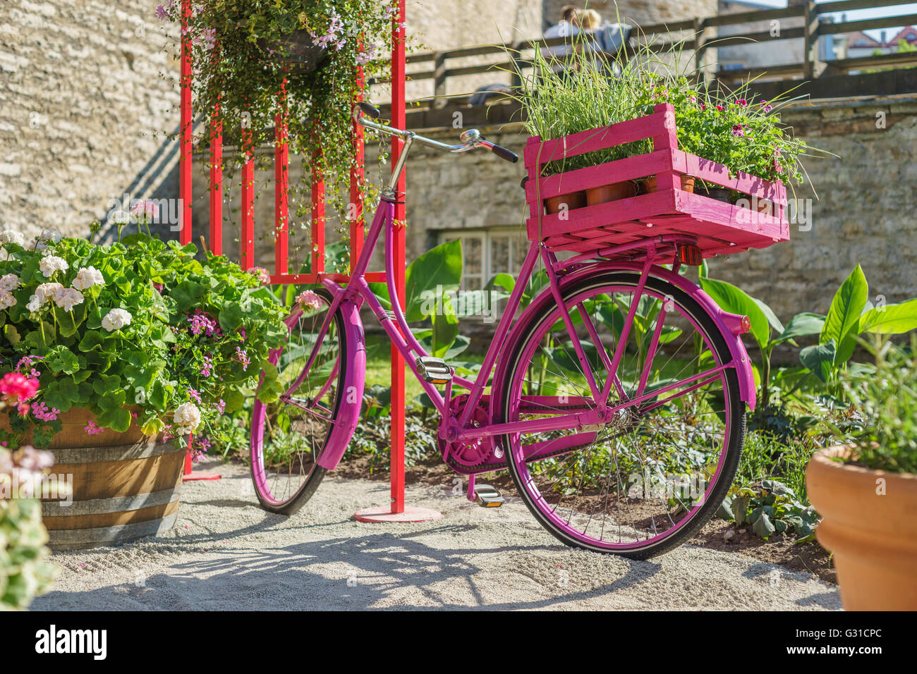 Romantico scenario urbano. Rosa vintage bicicletta con vasi di fiori nel bauletto e giovane sullo sfondo. Concetto di datazione Foto Stock