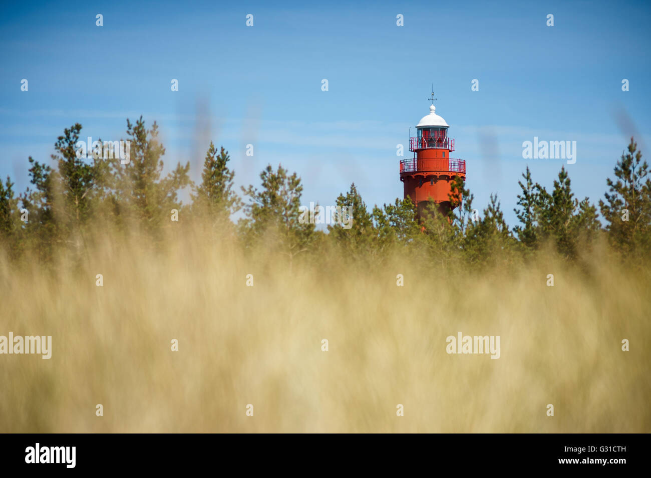 Vista sul faro Ristna attraverso il mare di erba, Hiiumaa island, Estonia Foto Stock