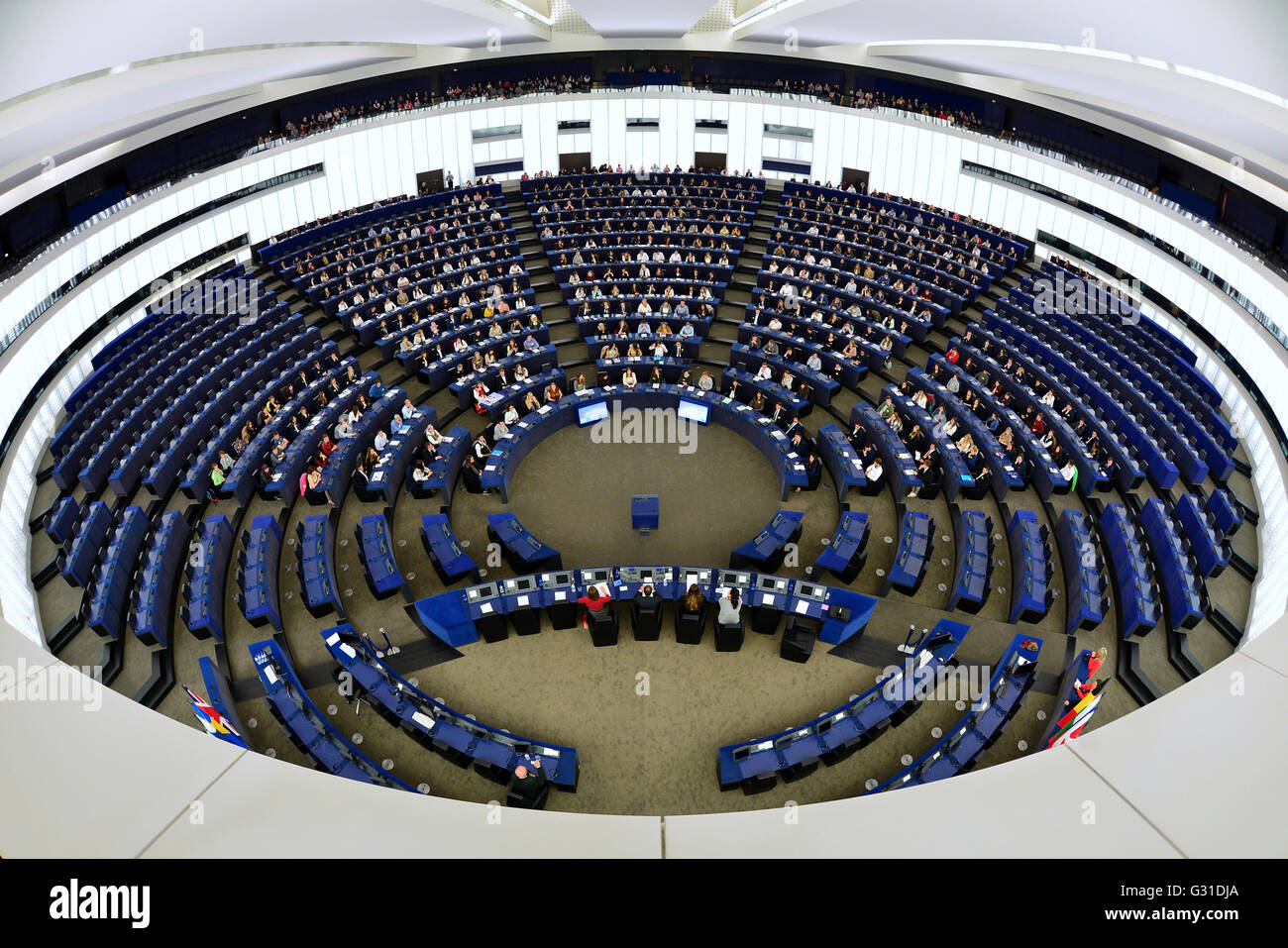 Strasburgo, Francia, Euro Cola nel Parlamento europeo Foto Stock