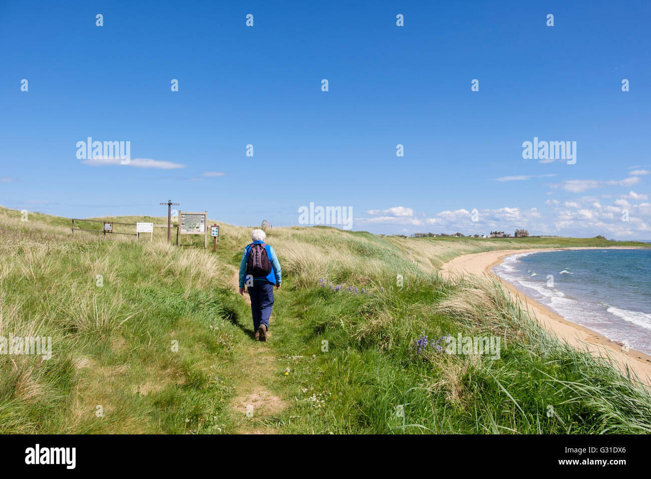 Senior Donna che cammina su Fife sentiero costiero intorno a West Bay Beach nel Firth of Forth. Elie e Earlsferry East Neuk Fife Scozia Scotland Foto Stock